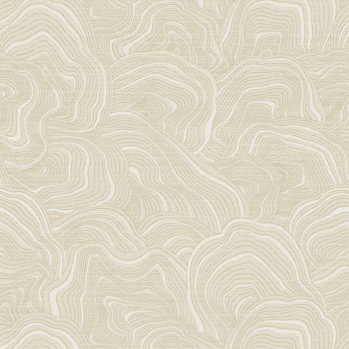 Kravet Design W3719-116 by Kravet Design Wallcovering Kravet Design Wallcovering Kravet Design W3719-116Wallcovering RONALD REDDING PAPER - 100% United States </p><p>Repeat: H: , V: 25.25 27 - Fabric Carolina -