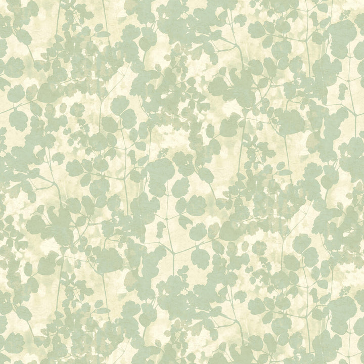 W3791-135 by Kravet Design Designer Wallcovering CANDICE OLSON COLLECTION NON WOVEN - 100% United States Horizontal: and Vertical: 20.5 27 - Swanky Fabrics -