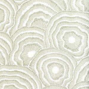 Panache Wp Leaf by Kravet Designer Wallcovering