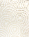 Panache Wp - Champagne W3823.4.0 by Kravet Couture Designer Wallcovering