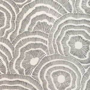 Panache Wp Noir by Kravet Designer Wallcovering