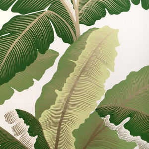 Isla Royal Wp Golden Palm W4151.153.0 By Kravet Couture Designer Wallcovering