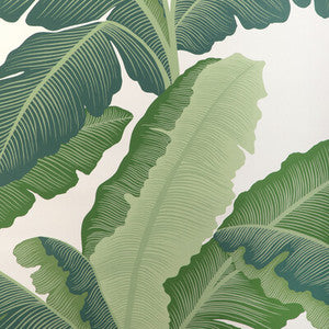 Isla Royal Wp Verde W4151.33.0 By Kravet Couture Designer Wallcovering