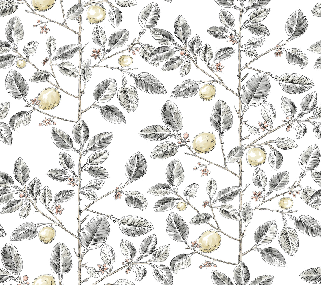 Kravet Design - W4241-21 W4241.21.0 by Kravet Design Designer Wallcovering