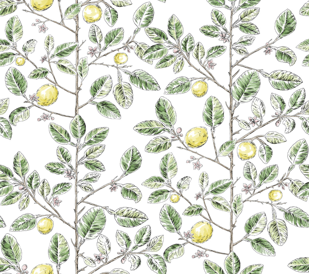 Kravet Design - W4241-340 W4241.340.0 by Kravet Design Designer Wallcovering