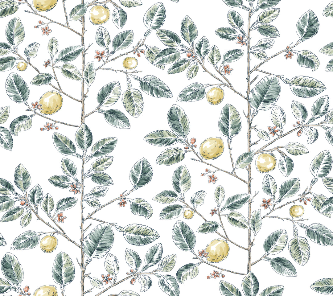 Kravet Design - W4241-354 W4241.354.0 by Kravet Design Designer Wallcovering