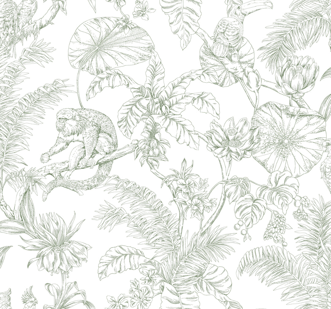Kravet Design - W4250-31 W4250.31.0 by Kravet Design Designer Wallcovering
