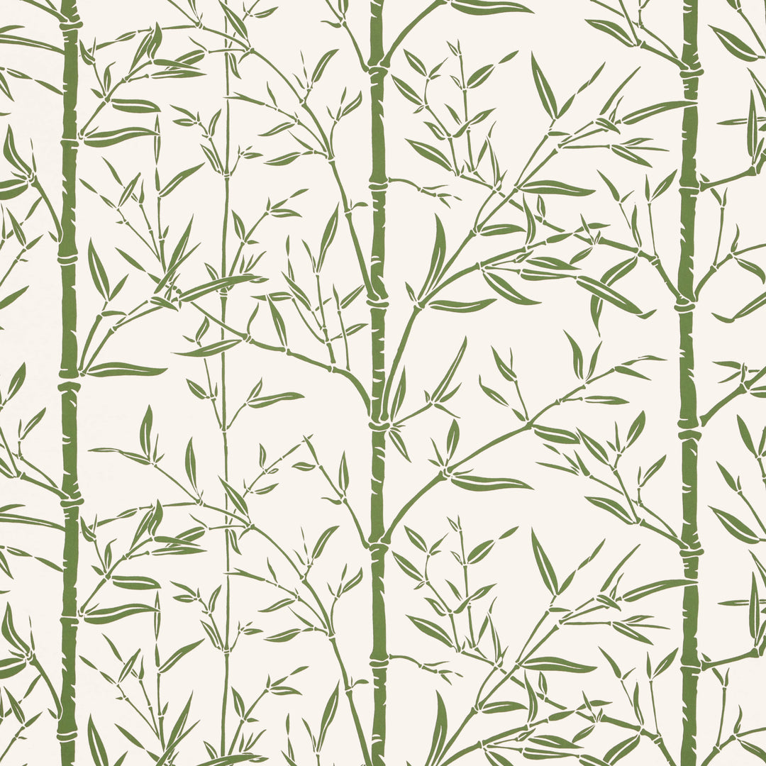 Bamboo Wp - Cactus W4258.31.0 by Kravet Couture Designer Wallcovering