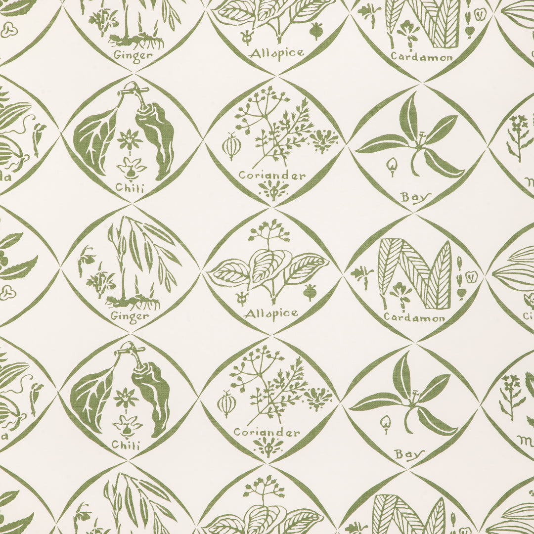 Spices Wp - Cactus W4262.30.0 by Kravet Couture Designer Wallcovering
