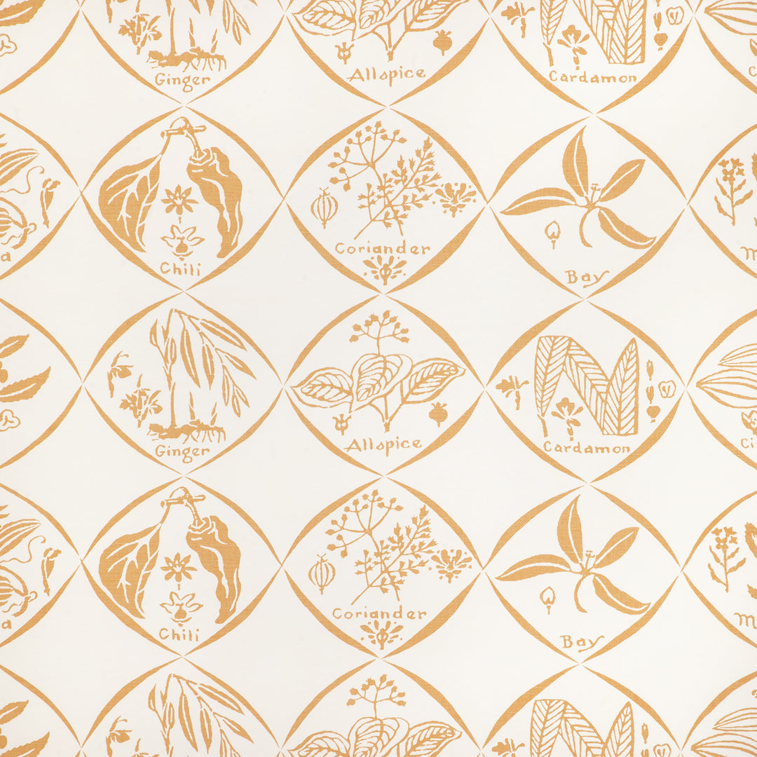 Spices Wp - Saffron W4262.404.0 by Kravet Couture Designer Wallcovering