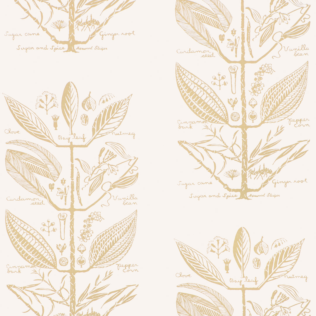 Sugar And Spice Wp - Sand W4263.16.0 by Kravet Couture Designer Wallcovering