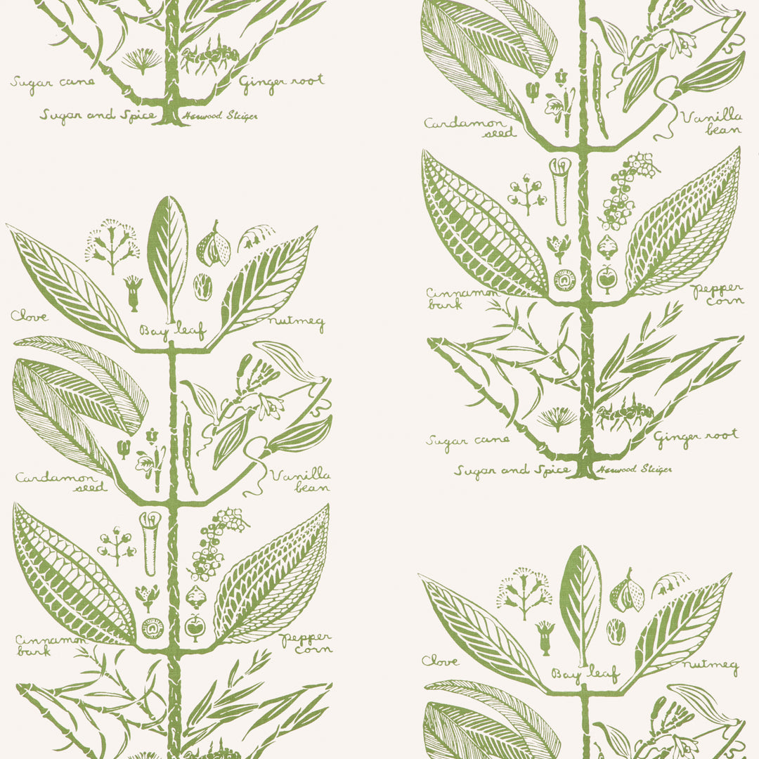 Sugar And Spice Wp - Cactus W4263.30.0 by Kravet Couture Designer Wallcovering