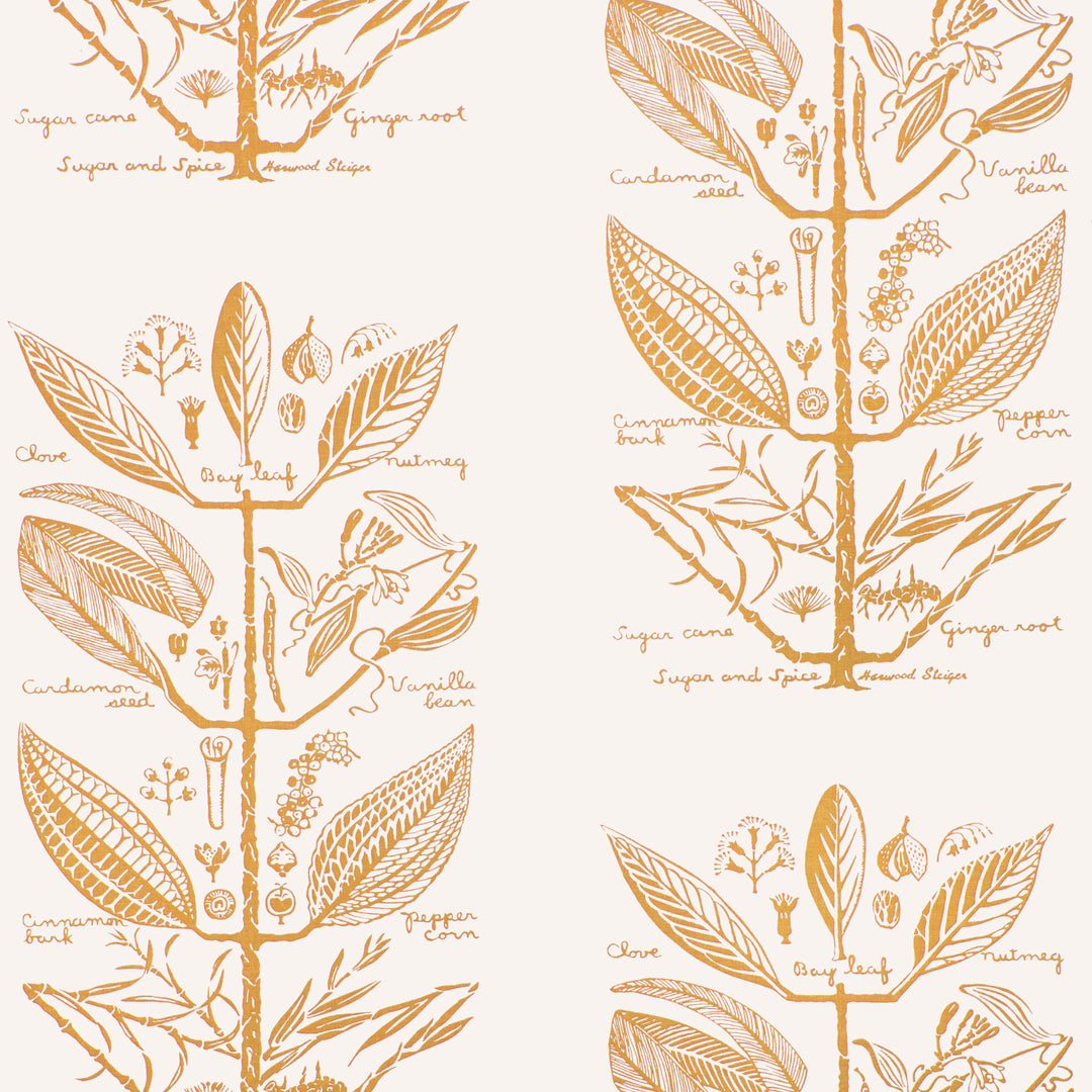 Sugar And Spice Wp - Gold W4263.404.0 by Kravet Couture Designer Wallcovering