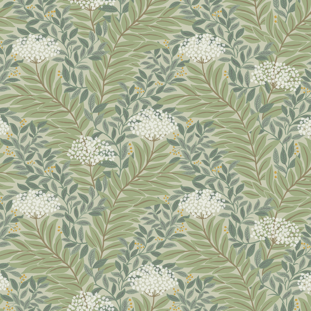 Kravet Design - W4297-35 W4297.35.0 by Kravet Design Designer Wallcovering