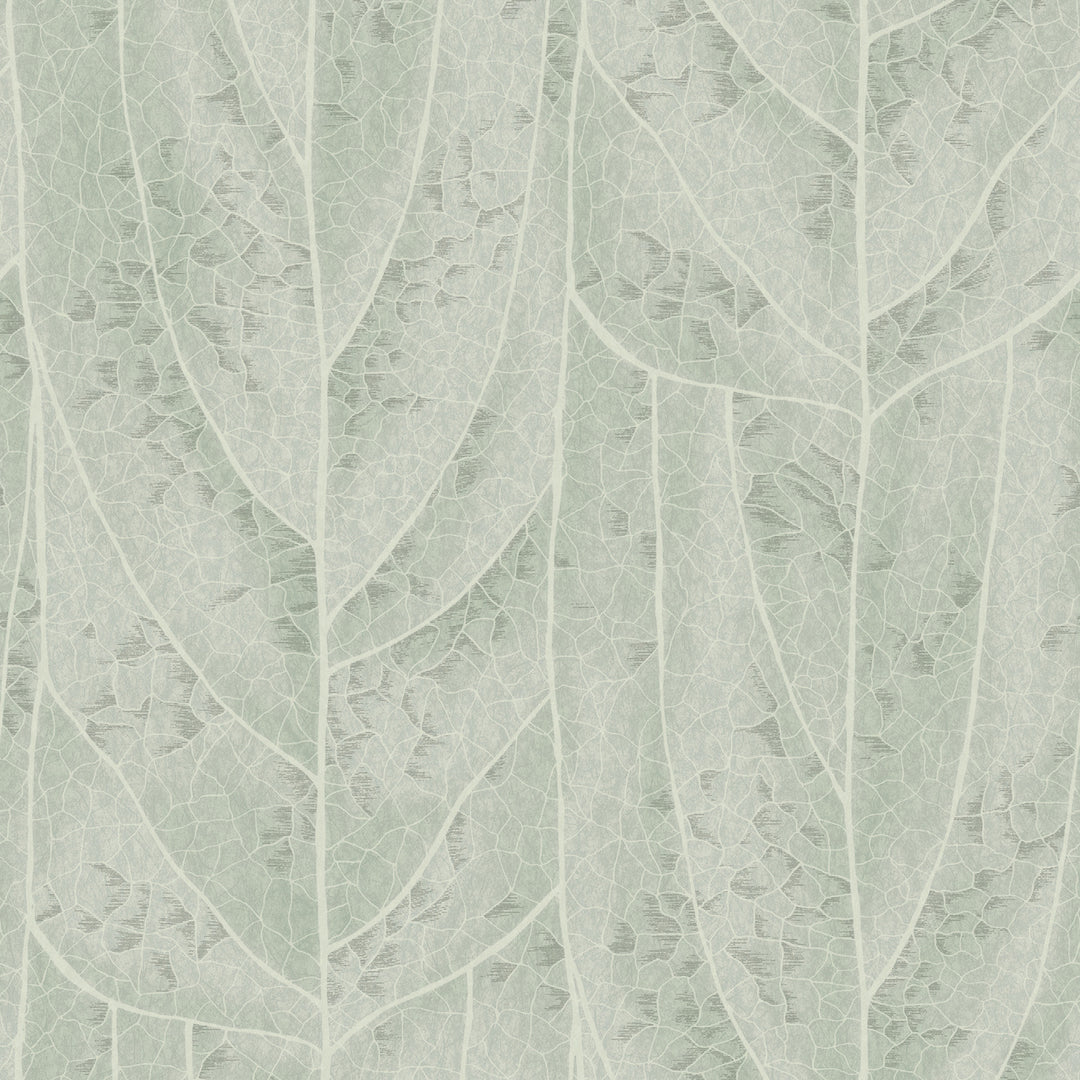 Kravet Design - W4308-135 W4308.135.0 by Kravet Design Designer Wallcovering