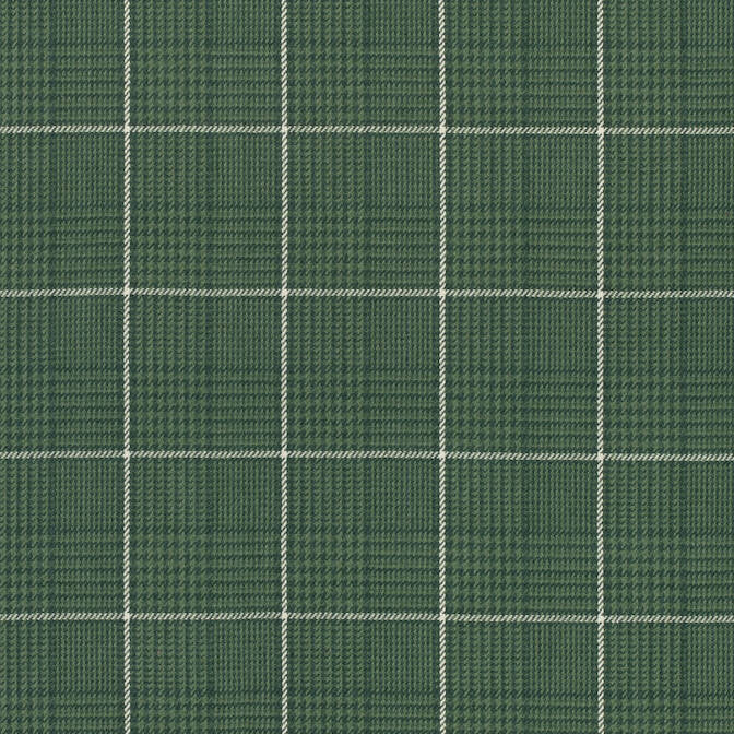 Grassmarket Check Forest Green W710202 by Thibaut Fabric Thibaut Fabric Grassmarket Check Forest Green W710202Fabric Colony Fabric Book 55% Linen, 45% Cotton INDIA </p><p>Repeat: V: 5 54 - Fabric Carolina -