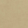 Club Velvet Fawn W7223 by Thibaut Designer Fabric