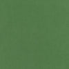 Club Velvet Kelly W7255 by Thibaut Designer Fabric