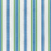 Samba Stripe Royal Blue and Green W74670 by Thibaut Designer Fabric