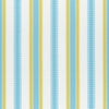 Samba Stripe Sky and Sunshine W74671 by Thibaut Designer Fabric