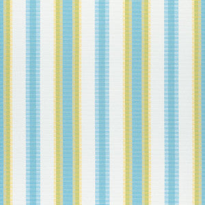 Samba Stripe Sky and Sunshine W74671 by Thibaut Designer Fabric
