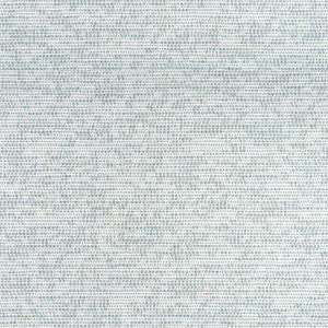 Borealis Glacier W75235 by Thibaut Designer Fabric