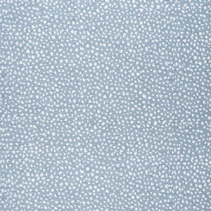 Fawn Sky W78353 by Thibaut Designer Fabric