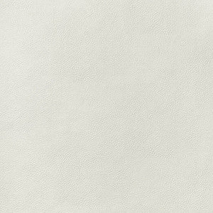 Arcata Ivory W78381 by Thibaut Designer Fabric