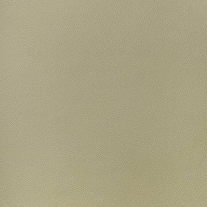 Arcata Twig W78385 by Thibaut Designer Fabric