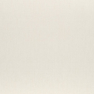 Orion Snow White W80471 by Thibaut Designer Fabric
