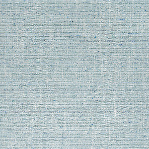 Elgin Seaglass W80939 by Thibaut Designer Fabric