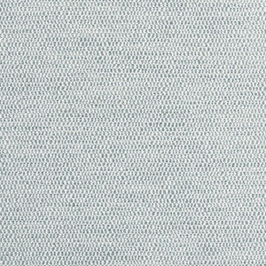Rito Fog W8116 by Thibaut Designer Fabric