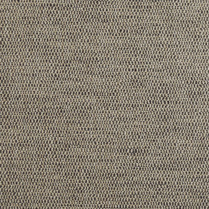 Rito Smoke W8117 by Thibaut Designer Fabric