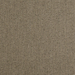 Tinta Mocha W8129 by Thibaut Designer Fabric