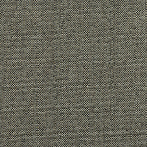 Tinta Onyx W8131 by Thibaut Designer Fabric
