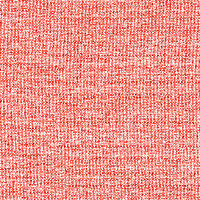 Cameron Coral W81646 by Thibaut Fabric Thibaut Fabric Cameron Coral W81646Fabric Locale 100% Solution Dyed Acrylic ITALY </p><p>Repeat: V: 0 54 - Fabric Carolina -