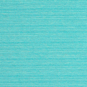 Cameron Capri W81647 by Thibaut Designer Fabric
