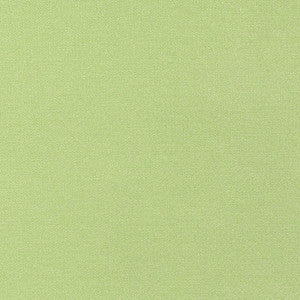 Tessa Kiwi W81656 by Thibaut Designer Fabric