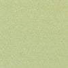 CASTAWAY Kiwi W81712 by Thibaut Designer Fabric
