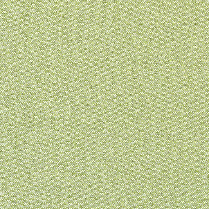 Castaway Kiwi W81712  by Thibaut Fabric Thibaut Fabric Castaway Kiwi W81712 Fabric SOLEIL TEXTURES U.S.A </p><p>Repeat: H: , V: 0 (0.00 cm) 53 in  (134.62 cm) - Fabric Carolina -