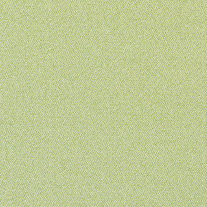 Castaway Kiwi W81712  by Thibaut Designer Fabric