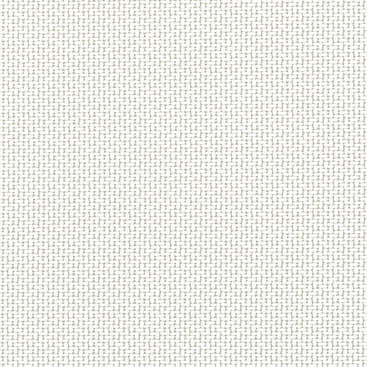 Abacos Oatmeal W81722  by Thibaut Fabric Thibaut Fabric Abacos Oatmeal W81722 Fabric SOLEIL TEXTURES U.S.A </p><p>Repeat: H: , V: 0 (0.00 cm) 54 in  (137.16 cm) - Fabric Carolina -