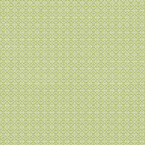 Bistro Kiwi W81731  by Thibaut Designer Fabric