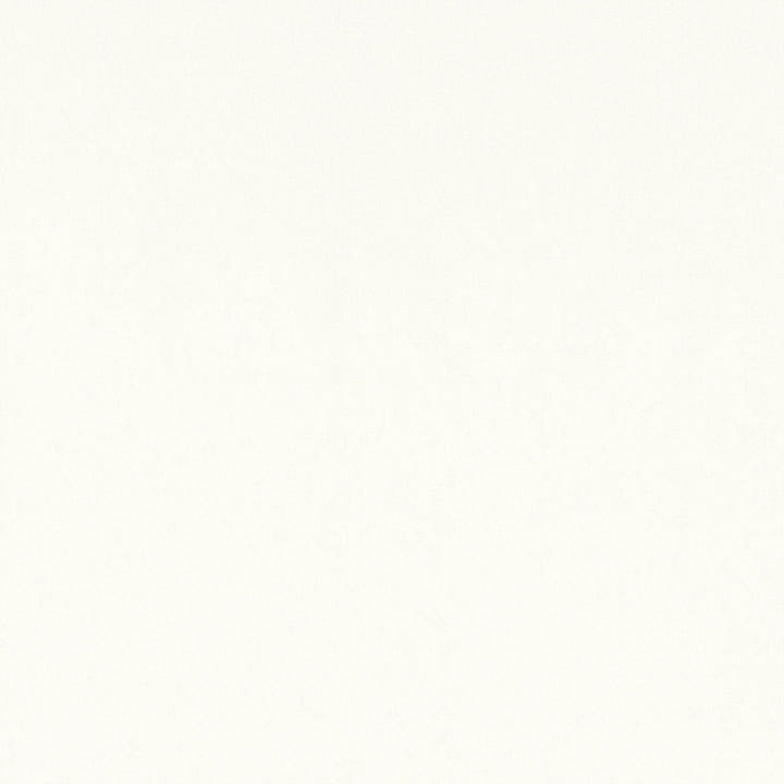 Mirasol Velvet Ivory W81734  by Thibaut Fabric Thibaut Fabric Mirasol Velvet Ivory W81734 Fabric SOLEIL TEXTURES U.S.A </p><p>Repeat: H: , V: 0 (0.00 cm) 54 in  (137.16 cm) - Fabric Carolina -