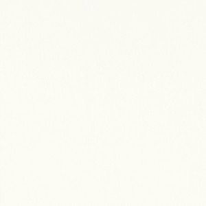 Mirasol Velvet Ivory W81734  by Thibaut Designer Fabric