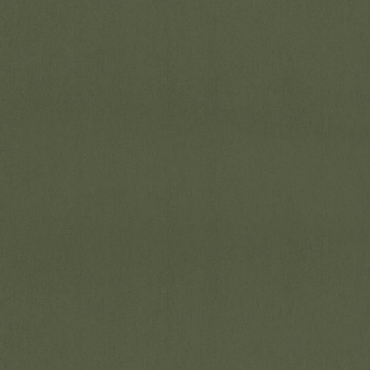 Mirasol Velvet Juniper W81740  by Thibaut Fabric Thibaut Fabric Mirasol Velvet Juniper W81740 Fabric SOLEIL TEXTURES U.S.A </p><p>Repeat: H: , V: 0 (0.00 cm) 54 in  (137.16 cm) - Fabric Carolina -
