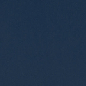 Mirasol Velvet Navy W81742  by Thibaut Designer Fabric