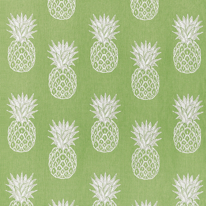 Pina Colada Kiwi W81747  by Thibaut Fabric Thibaut Fabric Pina Colada Kiwi W81747 Fabric SOLEIL U.S.A </p><p>Repeat: H: 11.75 in (29.84 cm), V: 12.25 (31.12 cm) 53 in  (134.62 cm) - Fabric Carolina -