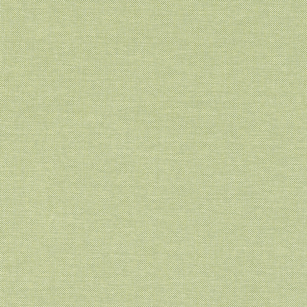 Finn Kiwi W81759  by Thibaut Fabric Thibaut Fabric Finn Kiwi W81759 Fabric SOLEIL TEXTURES U.S.A </p><p>Repeat: H: , V: 0 (0.00 cm) 53.5 in  (135.89 cm) - Fabric Carolina -
