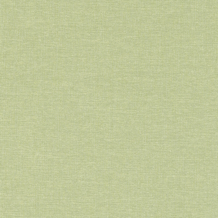 Finn Kiwi W81759  by Thibaut Fabric Thibaut Fabric Finn Kiwi W81759 Fabric SOLEIL TEXTURES U.S.A </p><p>Repeat: H: , V: 0 (0.00 cm) 53.5 in  (135.89 cm) - Fabric Carolina -